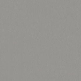 Wykładzina linoleum Tarkett™ 14235202 Style Emme Xf2™ (2.5 Mm) Style Emme Cemento 202 - Rolka