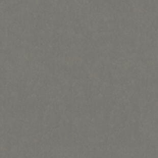 Wykładzina linoleum Tarkett™ 14235205 Style Emme Xf2™ (2.5 Mm) Style Emme Ferro 205 - Rolka