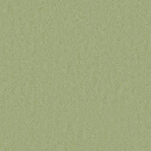 Wykładzina linoleum Tarkett™ 14235753 Style Emme Xf2™ (2.5 Mm) Style Emme Pears 753 - Rolka