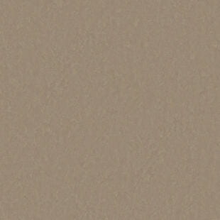 Wykładzina linoleum Tarkett™ 14235730 Style Emme Xf2™ (2.5 Mm) Style Emme Tobacco 730 - Rolka