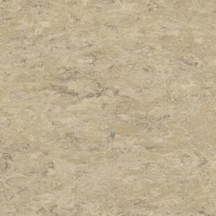 Wykładzina linoleum Tarkett™ 14172711 Veneto Xf2™ (2.5 Mm) Veneto Ecru 711 - Rolka