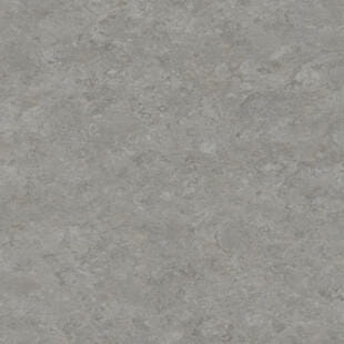 Wykładzina linoleum Tarkett™ 14172703 Veneto Xf2™ (2.5 Mm) Veneto Fog 703 - Rolka
