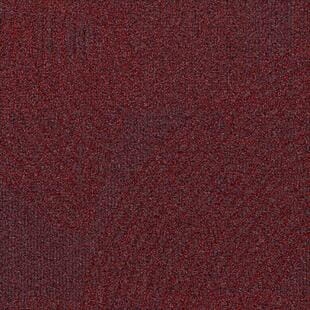 3a60ed5caffcd9cbdfed245ca7108711