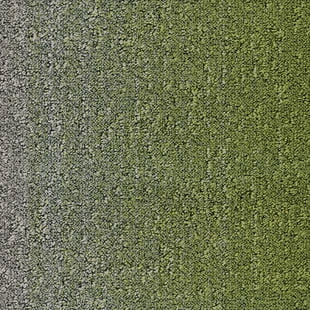 ee89aa777af774f17fd731ea18206be5