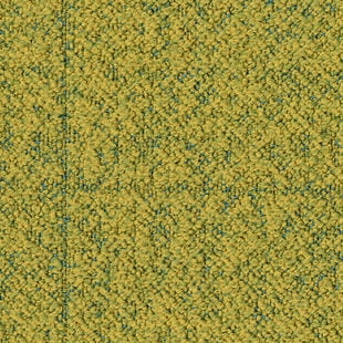 ec56884fe33c2e8357d5d6ac1ddb25c7