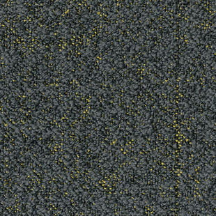 b5bb1fe5cf7bc9cc02994fc1f035ae68