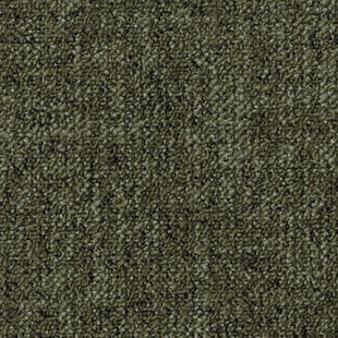 aa7c101b4e010a2d05d3c5ce4efdd991