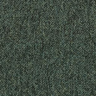 addc3e665c641bc9a5e3e3492dd6c6e6