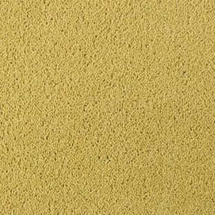 Wykładzina dywanowa Tarkett™ 710079059 Asteranne Asteranne A411 2005 - Rolka - 9.5 mm