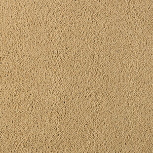 65e92e68f433a6775d41371e507294f8