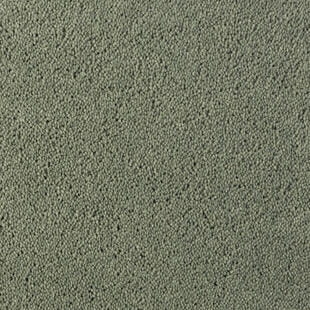 Wykładzina dywanowa Tarkett™ 710079063 Asteranne Asteranne A411 2903 - Rolka - 9.5 mm