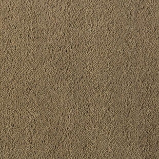 Wykładzina dywanowa Tarkett™ 710079064 Asteranne Asteranne A411 2923 - Rolka - 9.5 mm