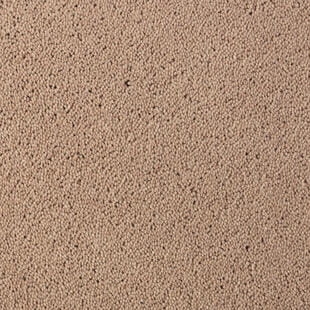 Wykładzina dywanowa Tarkett™ 710079058 Asteranne Asteranne A411 2946 - Rolka - 9.5 mm