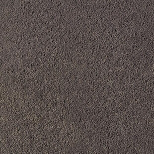 Wykładzina dywanowa Tarkett™ 710079077 Asteranne Asteranne A411 9532 - Rolka - 9.5 mm