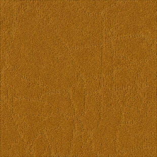 2d2f02c51026761a47242a45954e6a80