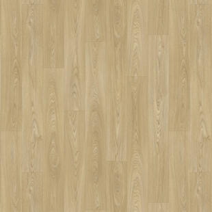 63dde5271f2fdb1121d50c08d17e64ae