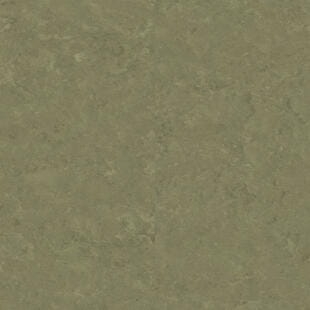 Wykładzina linoleum Tarkett™ 14172757 Veneto Xf2™ (2.5 Mm) Veneto Khaki 757 - Rolka
