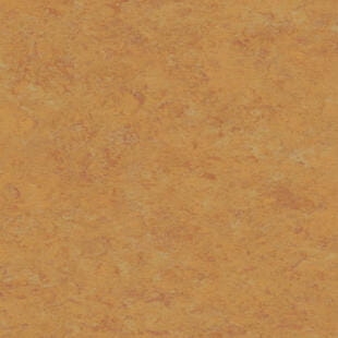 Wykładzina linoleum Tarkett™ 14173636 Veneto Xf2™ (3.2 Mm) Veneto Amber 636 - Rolka