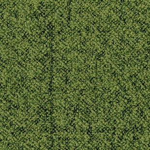 8ccca873e8aae8fea19c75c9a16be89b