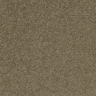 112d7c2a64daa9fc22a13cfec25d9a16