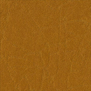 2d2f02c51026761a47242a45954e6a80
