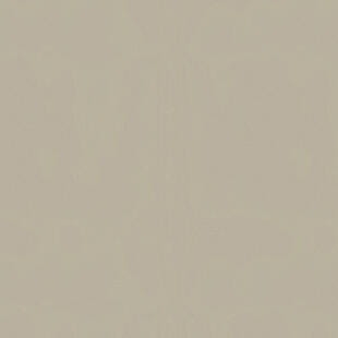 08a02be896cfab42abd30e261cac4564