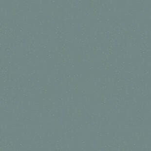 73fcf329ca73f9eb2d5b94c9f9ab1789