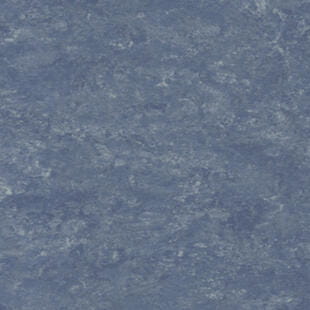 e541592a49aae2800b0365e64690dc19