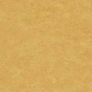 Wykładzina linoleum Tarkett™ 14173628 Veneto Xf2™ (3.2 Mm) Veneto Sunflower 628 - Rolka