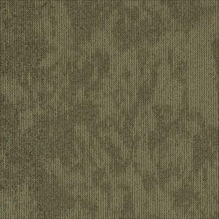 a7a06ba4db0ac9b523dba195c23d6e54