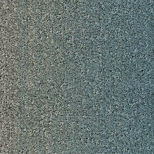 92c82c1182857d28debb0dc9f8f421a3