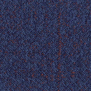 61d9731735a86662a8929b59fa20ac70