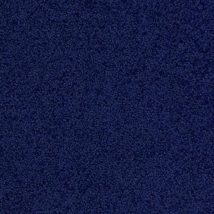 8818cc95b256131c47bcd95e48562650