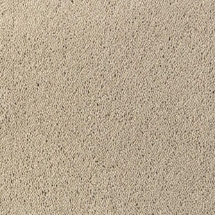 0bfdddee19f19b8c0075bba85c70667c