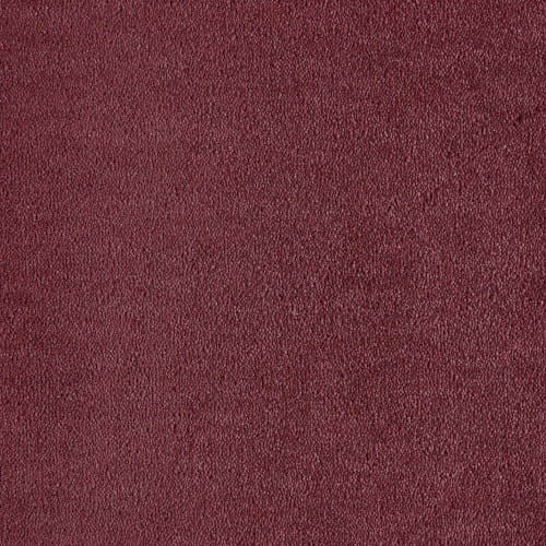 Wykładzina dywanowa SmartStrand  UIO.01225m Dream