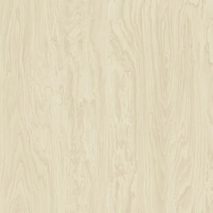 0c6d7699129316b20487b084f0ce17c3