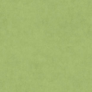 c49226df9fa7dcf112d4a98a9df352a4