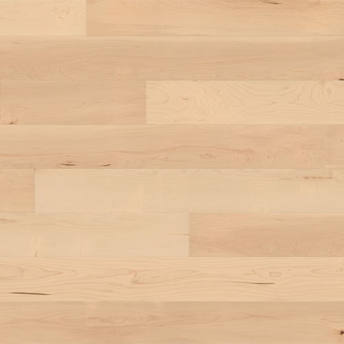 Ter Huerne 1101010639 Grand Velvet T10  Klon kanadyjski Podłoga drewniana (Panel)