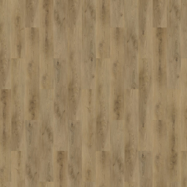 c207c2a2d7416ce6bbcf3e416f62e608