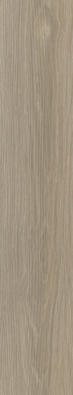 52172d4fb0ac395730b6cda744e8e559