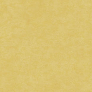 a09038fef59001ac212f2b63da9b1b97