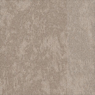 b5510796c37fbdc625337814924240ea