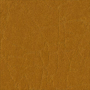 2d2f02c51026761a47242a45954e6a80