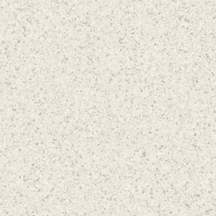 05bbefcffa45167a88a1dd87c7055112