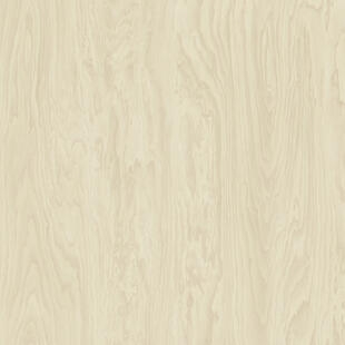 2960fc2c0afdbc67cd4caecf677bc169