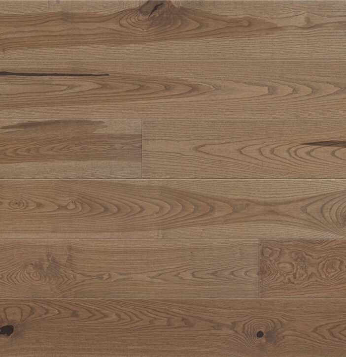 e1668fc2ea531198aebab4a67bddb5c8