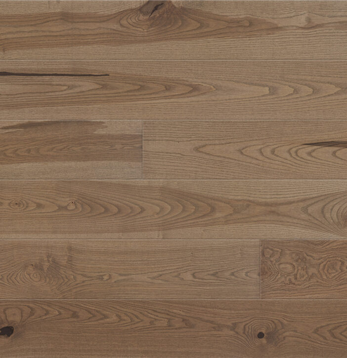 e1668fc2ea531198aebab4a67bddb5c8