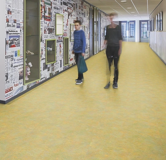 a0ed6c19388d6ce67579dcada8ca100d