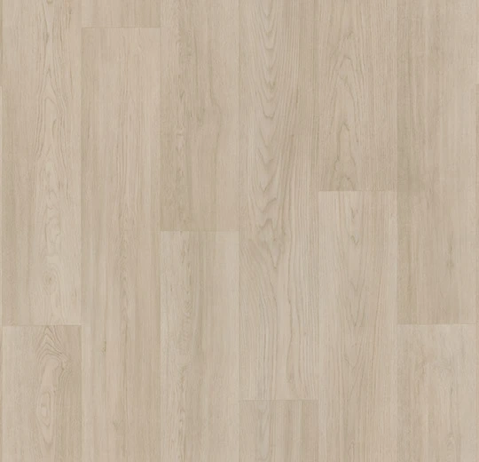 1126506c062a25fcea42ac4375398463