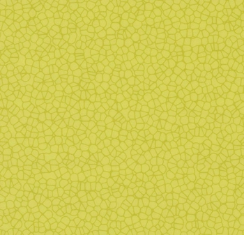 Wykładzina PVC FORBO 90758UP43C Citrus halo contour Modul'up Compact - Rolka - 2  mm